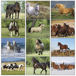 Premium Appointment Calendar - Horses Promotional Custom Imprinted With Logo