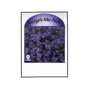 Forget-Me-Not Seed Packets Promotional Custom Imprinted With Logo