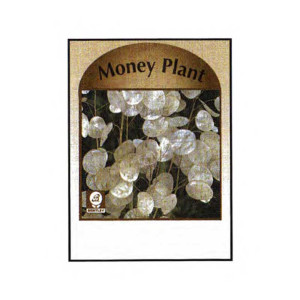 Money Plant Seed Packets Promotional Custom Imprinted With Logo Money Plant Seed Packets Promotional Custom Imprinted With Logo