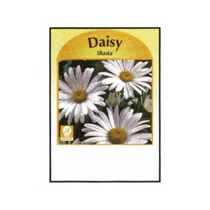Daisy (Shasta) Seed Packets Promotional Custom Imprinted With Logo
