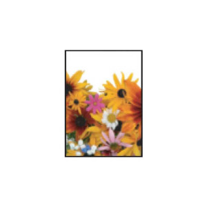 Wildflower Seed Packets Promotional Custom Imprinted With Logo Wildflower Seed Packets Promotional Custom Imprinted With Logo