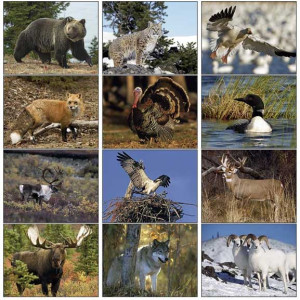 Premium Appointment Calendar - North American Wildlife Promotional Custom Imprinted With Logo