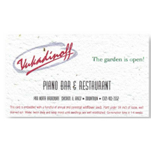 Printed Seeded Paper Business Cards Promotional Custom Imprinted With Logo Printed Seeded Paper Business Cards Promotional Custom Imprinted With Logo