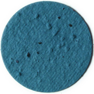 Seed Paper Coasters Promotional Custom Imprinted With Logo Seed Paper Coasters Promotional Custom Imprinted With Logo