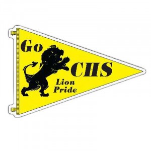 Pennant Car Magnet Promotional Custom Imprinted With Logo Pennant Car Magnet Promotional Custom Imprinted With Logo