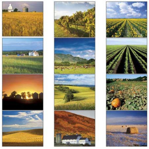 Economy Appointment Calendar - Agriculture Promotional Custom Imprinted With Logo Economy Appointment Calendar - Agriculture Promotional Custom Imprinted With Logo