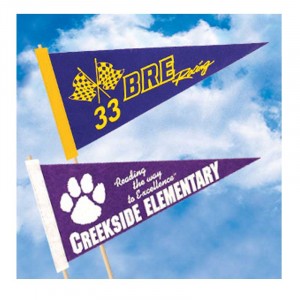 8 inch x 18 inch Pennant Promotional Custom Imprinted With Logo 8 inch x 18 inch Pennant Promotional Custom Imprinted With Logo