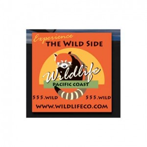Car Magnet - 24 x 24 Promotional Custom Imprinted With Logo Car Magnet - 24 x 24 Promotional Custom Imprinted With Logo