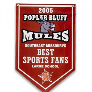4ft. x 6ft. Champtionship Banner Promotional Custom Imprinted With Logo