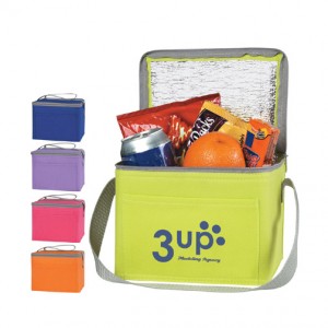 Non Woven Six Pack Kooler Bag