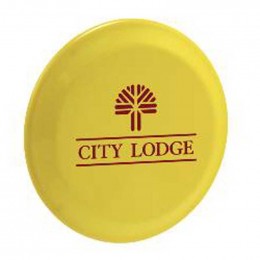 5" Mini Flyer Promotional Custom Imprinted With Logo 5" Mini Flyer Promotional Custom Imprinted With Logo