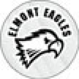 School Spirit Decal Promotional Custom Imprinted With Logo