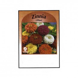 Zinnia (Lilliput) Seed Packets Promotional Custom Imprinted With Logo