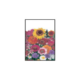 Old Fashioned Seed Packets Promotional Custom Imprinted With Logo