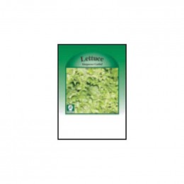Lettuce (Simpsons Curled) Seed Packets Promotional Custom Imprinted With Logo