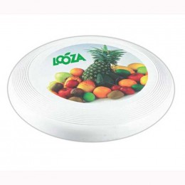 5" Flyer with Full Color Imprint Promotional Custom Imprinted With Logo 5" Flyer with Full Color Imprint Promotional Custom Imprinted With Logo