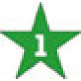 Special Shape Labels - Star Promotional Custom Imprinted With Logo