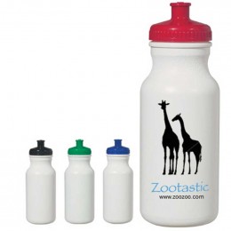 Evolve 20 oz. Water Bottle Promotional Custom Imprinted With Logo