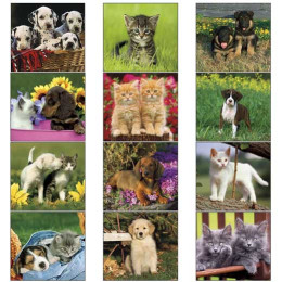 12-Month Mini Calendar - Puppies & Kittens Promotional Custom Imprinted With Logo