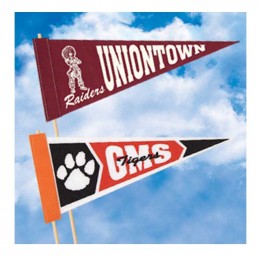 5 inch x 12 inch Pennant Promotional Custom Imprinted With Logo 5 inch x 12 inch Pennant Promotional Custom Imprinted With Logo