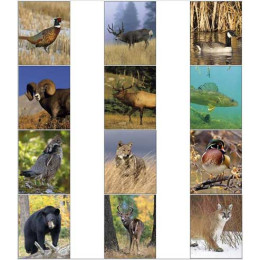 Desk Tent Calendar - Sportsman Promotional Custom Imprinted With Logo