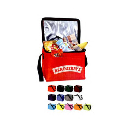 Insulated 6-Pack Lunch Cooler Promotional Custom Imprinted With Logo Insulated 6-Pack Lunch Cooler Promotional Custom Imprinted With Logo