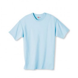 Hanes Authentic Tagless T-Shirt - Color Promotional Custom Imprinted With Logo