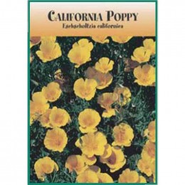 California Poppy Seed Packets Promotional Custom Imprinted With Logo