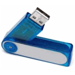 Pitt 256MB Flash Drive Promotional Custom Imprinted With Logo