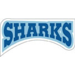 Custom Helmet Decal - Large Promotional Custom Imprinted With Logo