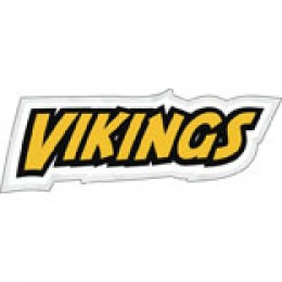 Custom Helmet Decal - Medium Promotional Custom Imprinted With Logo
