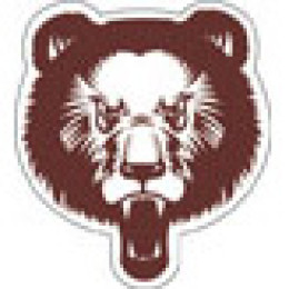 Custom Helmet Decal - Small Promotional Custom Imprinted With Logo