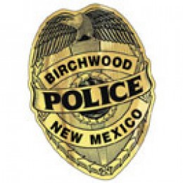 Gold & Brushed Chrome Polyester Custom Decal - 2'' x 2'' Promotional Custom Imprinted With Logo