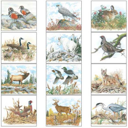 Economy Appointment Calendar - Wildlife Trek Promotional Custom Imprinted With Logo