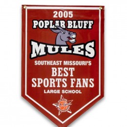 4ft. x 6ft. Champtionship Banner Promotional Custom Imprinted With Logo