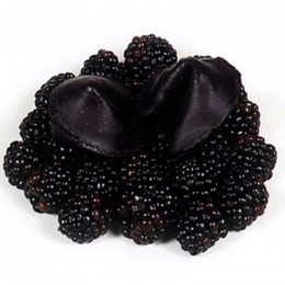 Black Raspberry Flavored Fortune Cookie Promotional Custom Imprinted With Logo
