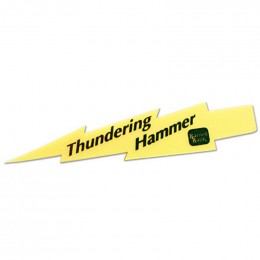 Spirit 24 in. Lightning Bolt Promotional Custom Imprinted With Logo