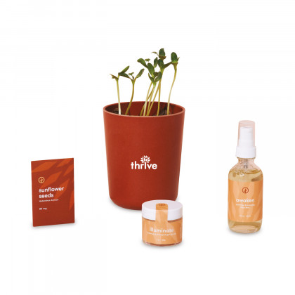 Sunflower Grow Kit with Body Scrub