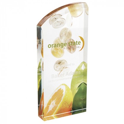 Enterprise Full Color Curved Award | Custom Photo Employee Recognition Awards