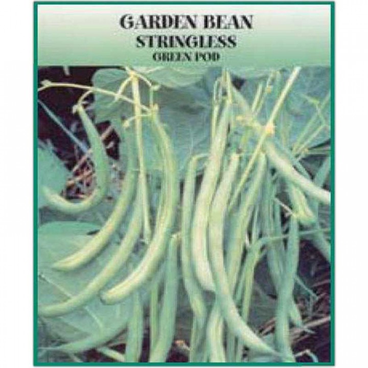 Green Bean Seed Packet Promotional Imprinted | 4AllPromos