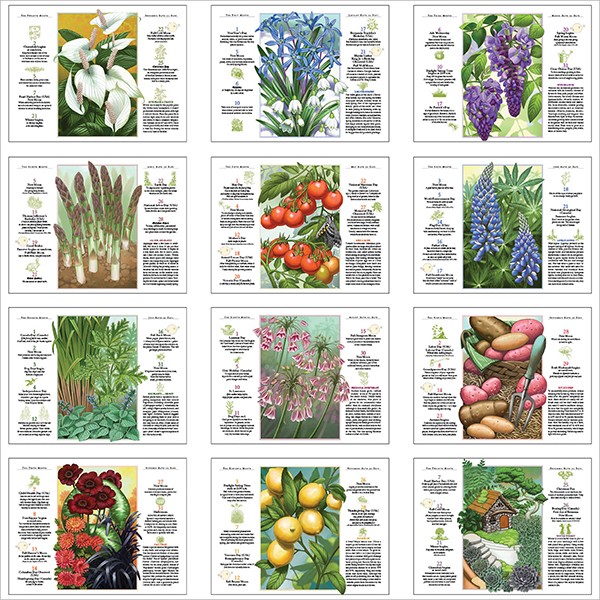 2024-old-farmers-almanac-gardening-calendar-10-1-2-x-18-1-4
