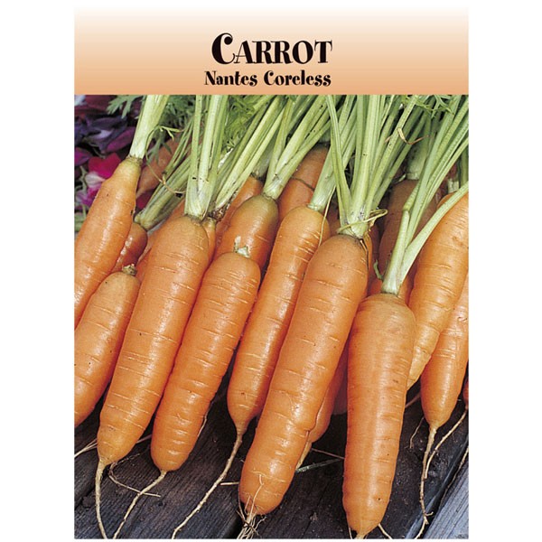 Carrot Seed Packets Promotion